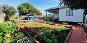 Nhà vườn tại phường Long Phước Quận 9